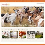 Monteillet Fromagerie, WordPress website, Gray Sky Studio Monteillet Fromagerie, WordPress website, Gray Sky Studio