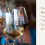 David Machado Restaurants homepage slide, Gray Sky Studio